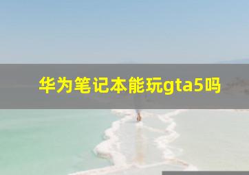 华为笔记本能玩gta5吗