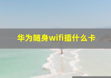 华为随身wifi插什么卡