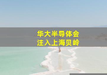 华大半导体会注入上海贝岭