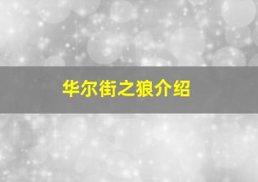 华尔街之狼介绍