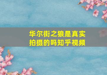 华尔街之狼是真实拍摄的吗知乎视频