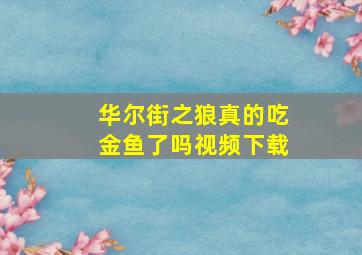 华尔街之狼真的吃金鱼了吗视频下载