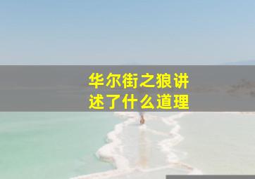 华尔街之狼讲述了什么道理