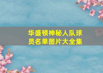 华盛顿神秘人队球员名单图片大全集