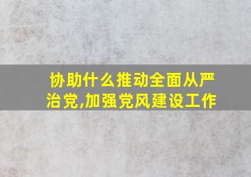 协助什么推动全面从严治党,加强党风建设工作