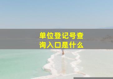 单位登记号查询入口是什么