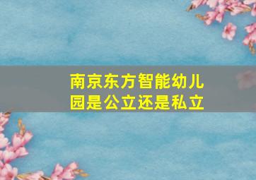 南京东方智能幼儿园是公立还是私立