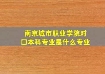 南京城市职业学院对口本科专业是什么专业