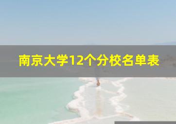 南京大学12个分校名单表