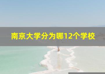 南京大学分为哪12个学校