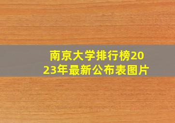 南京大学排行榜2023年最新公布表图片