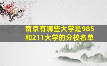 南京有哪些大学是985和211大学的分校名单