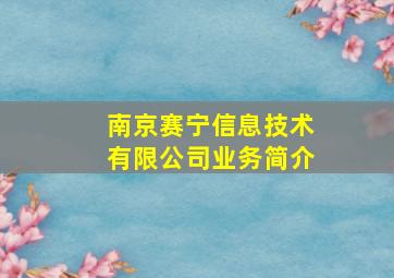 南京赛宁信息技术有限公司业务简介