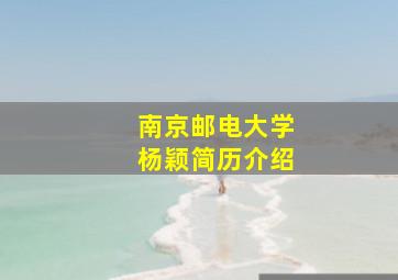 南京邮电大学杨颖简历介绍