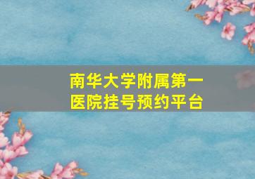 南华大学附属第一医院挂号预约平台