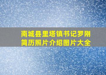 南城县里塔镇书记罗刚简历照片介绍图片大全