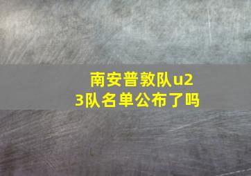 南安普敦队u23队名单公布了吗