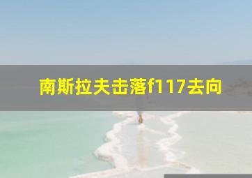 南斯拉夫击落f117去向