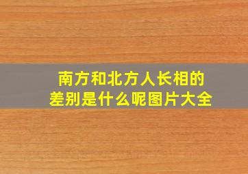 南方和北方人长相的差别是什么呢图片大全