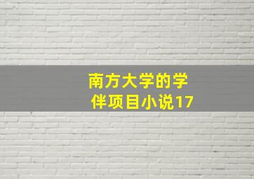 南方大学的学伴项目小说17