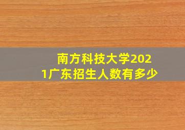 南方科技大学2021广东招生人数有多少