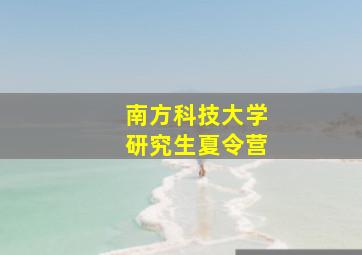 南方科技大学研究生夏令营