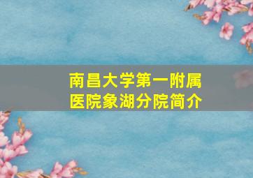 南昌大学第一附属医院象湖分院简介