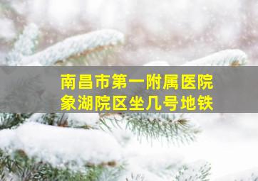 南昌市第一附属医院象湖院区坐几号地铁