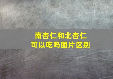 南杏仁和北杏仁可以吃吗图片区别