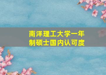 南洋理工大学一年制硕士国内认可度