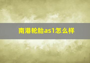 南港轮胎as1怎么样