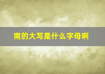 南的大写是什么字母啊