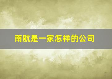 南航是一家怎样的公司