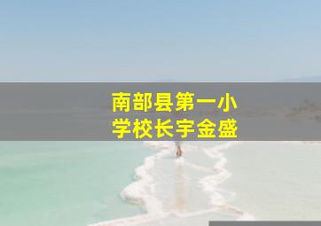 南部县第一小学校长宇金盛