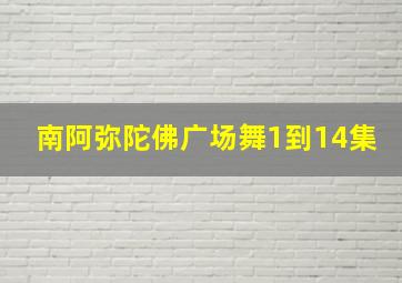 南阿弥陀佛广场舞1到14集