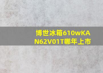 博世冰箱610wKAN62V01T哪年上市