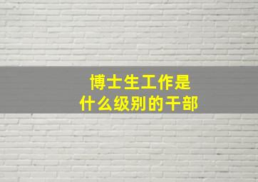 博士生工作是什么级别的干部