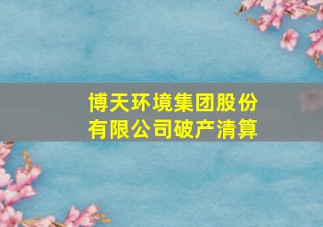 博天环境集团股份有限公司破产清算