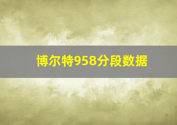 博尔特958分段数据