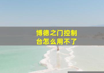 博德之门控制台怎么用不了