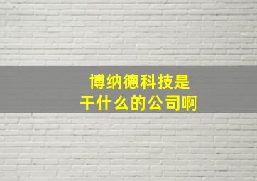 博纳德科技是干什么的公司啊