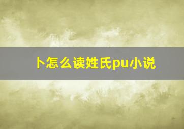 卜怎么读姓氏pu小说