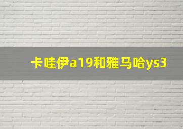 卡哇伊a19和雅马哈ys3