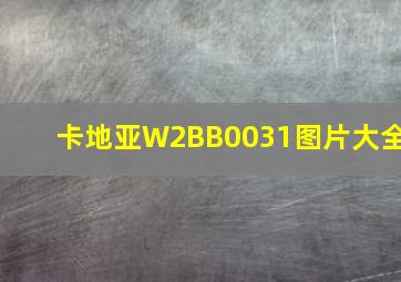 卡地亚W2BB0031图片大全