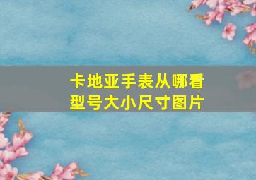 卡地亚手表从哪看型号大小尺寸图片