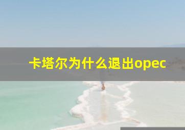 卡塔尔为什么退出opec