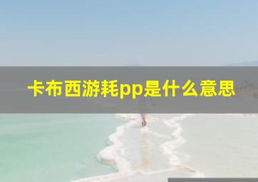 卡布西游耗pp是什么意思