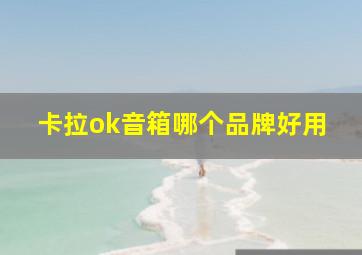 卡拉ok音箱哪个品牌好用