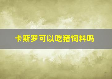 卡斯罗可以吃猪饲料吗