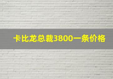 卡比龙总裁3800一条价格